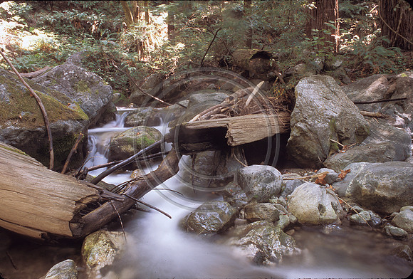 Limekiln.  Along the PCH on the way to Big Sur.